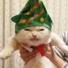 Ткемали